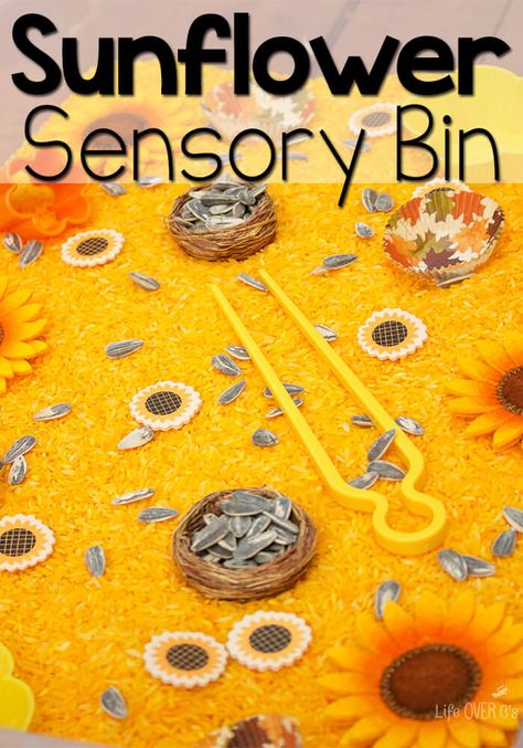 This sunflower sensory bin is a perfect way to work on fine-motor skills while exploring the beautiful yellows of fall! Sunflower Fine Motor Activities, Preschool Sunflower Theme, Sunflower Theme Preschool, Sunflower Activities For Kids, Sunflower Preschool Crafts, Sunflower Activities For Preschool, Sunflower Craft Preschool, Yellow Sensory Bin, Sunflowers Preschool