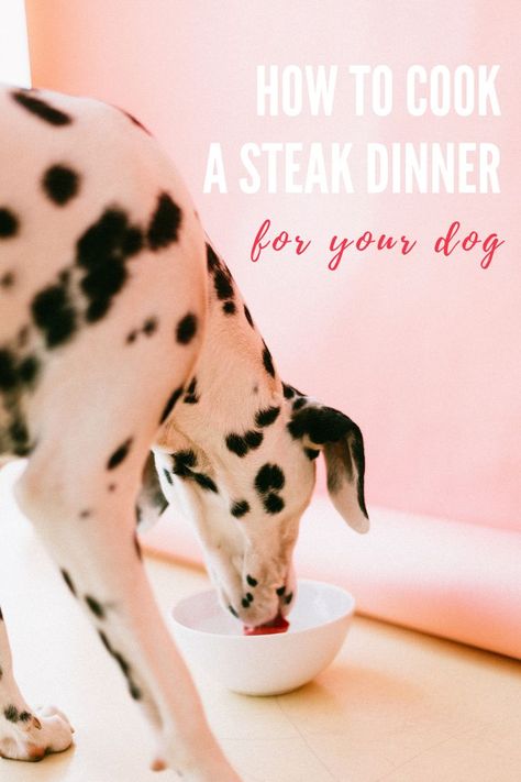 How To Cook a Steak Dinner For Your Dog - Dog Friendly San Antonio Special Birthday Dinner, Raw Diet For Dogs, Dog Raw Diet, Birthday Dinner Menu, Dog Meals, Diet For Dogs, Recipes For Dogs, Skillet Steak, Living With Dogs