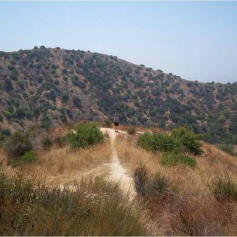 Hiking in The Burbank Hills of California Burbank Aesthetic, Hollywood Hills Aesthetic, Burbank California, Kids Room Murals, Universal Studios Hollywood, Hollywood Hills, Retro Chic, Outdoor Hiking, Historical Photos