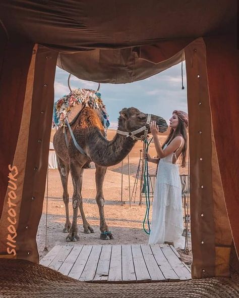 Experiências e surpresas no Deserto do Sahara 🐫🌟🇲🇦 . Moroccan surprises in Sahara Desert . ➖➖➖➖➖➖➖➖➖➖➖➖ Fale connosco para vir ver e VIVER este e outros encantos deste país 🇲🇦.... info@sirocotours.com Watsapp :+351914184366 Tel: +551132809467 ➖➖➖➖➖➖➖➖➖➖➖➖➖ #sirocotours #toursmarrocos #viagemmarrocos #saharadesert #surpresasdodeserto #sahara #marrocoscompaixao #charmsofmorocco #guiaportuguesmarrocos #igmorocco #instatravel Desert Outfit Ideas Dubai, Elise Cook, Couple Travel Photos, Marrakech Travel, Desert Travel, Afternoon Sun, Visit Egypt, Visit Dubai, Coming Soon Page