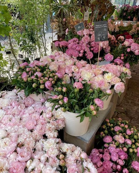 #pink #roses #aesthetic Italy Flower Shop, Flowers Market Aesthetic, Flowers Shop Aesthetic, Flower Market Aesthetic, Clean Girl Essentials, Girl Essentials, French Flowers, Boquette Flowers, Psychology Student