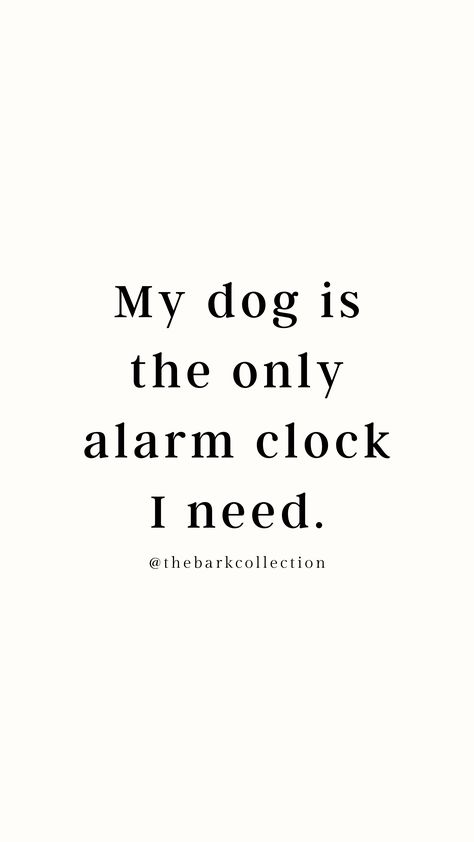 Funny Dog Owner Quotes, Quote Of The Month, Life With A Dog, Pets Quotes, Funny Dog Quotes, Best Motto, Dogs Are The Best, Cute Dog Quotes, Dog Mom Life