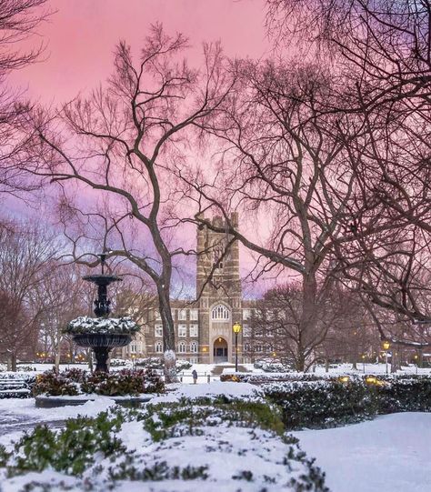 From our friends at Fordham  @fordhamuniversity - Snowbound at #Fordham || Photo by @zackmiklos (GSB '18)  #rosehill #classickeating #Fordham175 #nyc #goviewyou Hampden Sydney College, Belmont Abbey College, Freed Hardeman University, Newnham College Cambridge, Bowdoin College, Lehigh University, Fordham University, Aesthetic Roses, Rose Hill