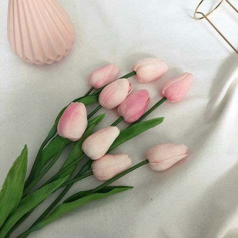 aesthetic aesthetics pink aesthetic cute pastel pink soft color pinky soft pink aesthetic style r o s i e Fake Tulips, Pink Tulips, Tulips, Pink, White