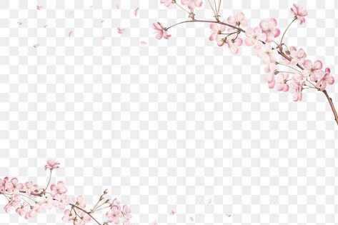 Flower Frame Png, Japan Sakura, Cherry Blossom Flower, Pink Cherry Blossom, Transparent Flowers, Free Overlays, Cherry Blossom Branch, Border Frame, Sakura Flower