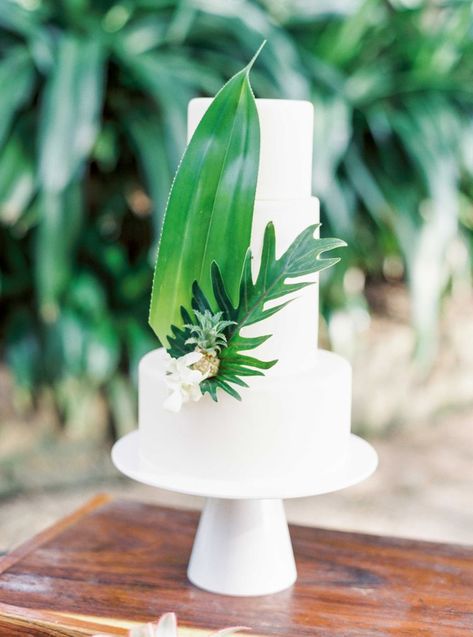 28 Beach Wedding Cake Ideas Beach Wedding Cake Ideas, Beach Wedding Cakes, Beach Wedding Color Palette, Olive Green Bridesmaid Dresses, Tropical Wedding Cake, Succulent Cake, Beach Wedding Colors, Wedding Cake Ideas, Beach Wedding Cake