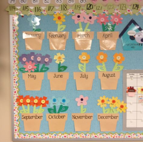 Birthday Garden: each month is a flower pot blooming with different birthdays. Kindergarten Birthday Display, Daycare Calendar Ideas, Flower Birthday Board Classroom, Ways To Display Birthdays In Classroom, Blooming Birthday Bulletin Board, Garden Birthday Board Classroom, Flower Birthday Wall Classroom, Birthday Ideas For Classroom Wall, Cute Birthday Boards For Classroom