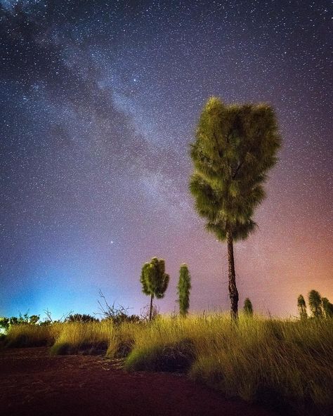 One Last Exposure on Instagram: “That Australian Outback glow. This is one of the best places to explore the galaxy of stars in the night sky. Low humidity and minimal…” Australian Night Sky, Cupboard Wall, Stars In The Night Sky, Australian Continent, Places To Explore, Australian Outback, The Night Sky, Small Island, Developing Country