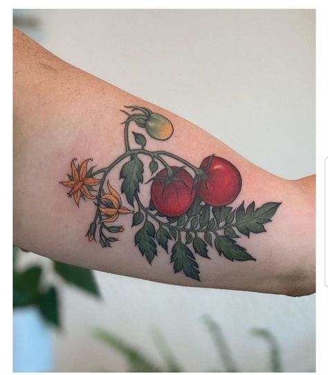 Tomato Tattoo, Vegetable Tattoo, Fruit Tattoo, Garden Tattoos, Food Tattoos, Tattoo Prices, Vine Tattoos, Plant Tattoo, Red Tattoos