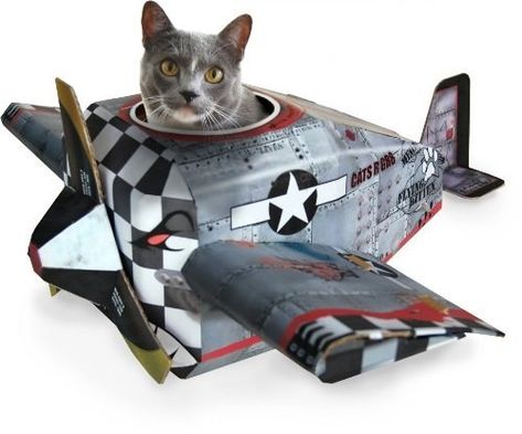 A cardboard airplane that will make you want to yell *zoom zoom!* while you push your cat around. Cat Playhouse, Cat Tanks, Cat Pet Supplies, Cat Playing, Play House, Pet Furniture, Cat Owners, Cat Face, Crazy Cat Lady