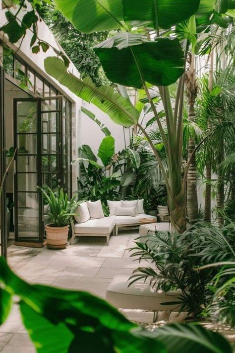 Patio Jungle, Patio Decor Ideas, Contemporary Outdoor Furniture, Small Courtyard Gardens, Beautiful Home Gardens, Tranquil Retreat, Small Courtyards, Patio Interior, Outdoor Retreat