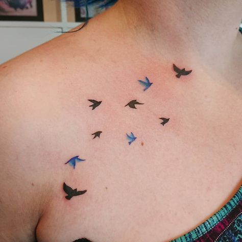 Tattoo Designs On Shoulder, Bird Silhouette Tattoos, Bird Shoulder Tattoos, Simple Bird Tattoo, Small Bird Tattoos, Little Bird Tattoos, Tiny Bird Tattoos, Bluebird Tattoo, Bird Tattoos For Women