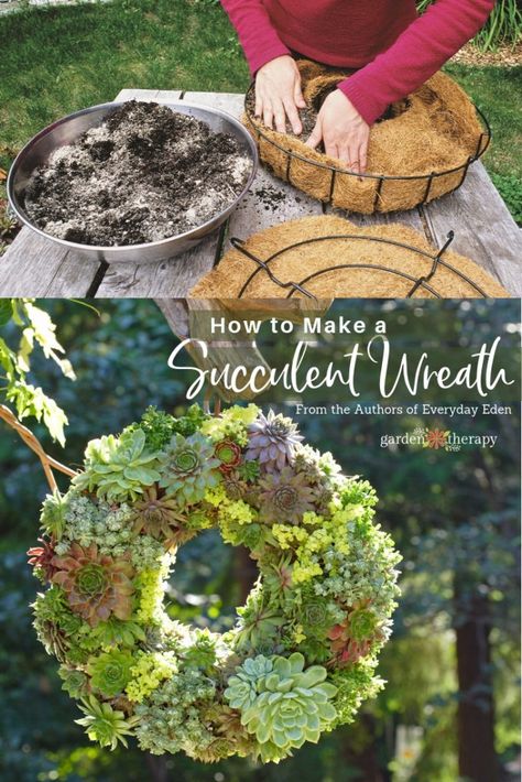 Succulent Wreath Diy, Living Wreath, Succulent Ideas, Succulent Centerpieces, Succulent Garden Diy, Succulent Wreath, Hanging Succulents, Succulent Gardening, Mini Succulents