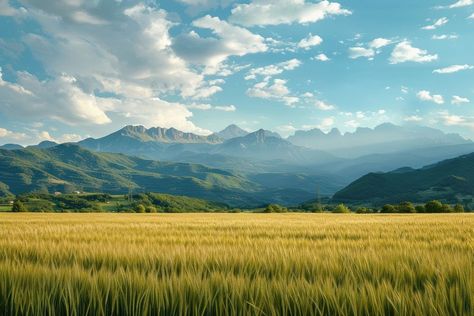 Field with mountains landscape outdoors horizon. | premium image by rawpixel.com Field And Mountains, Landscape Horizontal, Natural Landscape, Background Hills, Horizon Landscape, Fields And Mountains, Mountain Landscape Photography Horizontal, Flower Field And Mountains, Rice Paddy