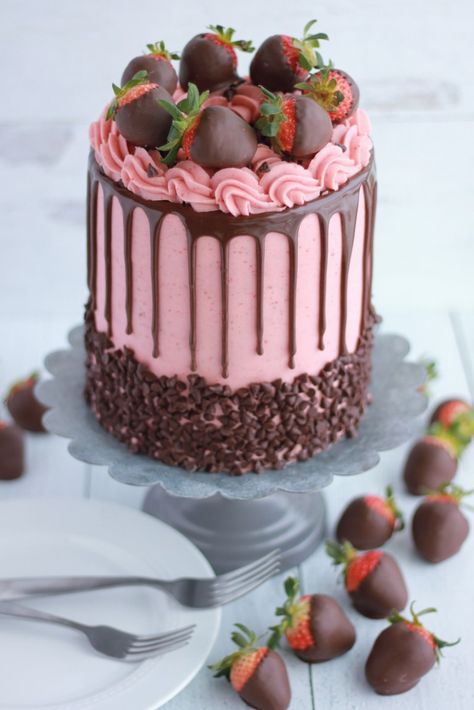 Chocolate Dipped Strawberry Cake - Baking with Blondie Cake Topped With Strawberries, Chocolate Dipped Strawberries Cake, Strawberry Cake Filling, Nursing Cake, Cake With Strawberry, Chocolate Strawberry Cake, Cake Liner, Decadent Chocolate Cake, Chocolate Dipped Strawberries