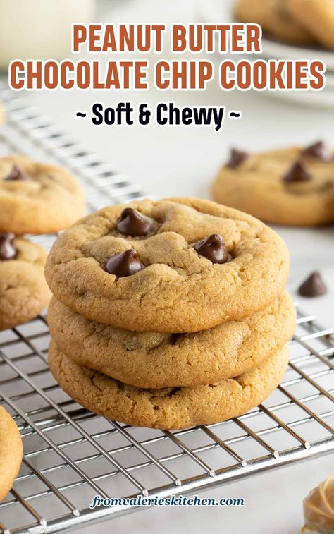 These soft and chewy Peanut Butter Chocolate Chip Cookies have the perfect blend of creamy, rich peanut butter and gooey chocolate chips. A delicious twist on chocolate chip cookies. Soft Peanut Butter Chocolate Chip Cookie, Soft Peanut Butter Chocolate Chip Cookies, Easy Peanut Butter Chocolate Chip Cookie, Peanut Butter Choc Chip Cookies, Chocolate Chip Peanut Butter Cookies, Amazing Cookie Recipes, Chocolate Chips Cookies, Best Peanut Butter Cookies, Easy Peanut Butter Cookies