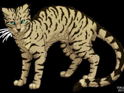 I got: Longtail! What ThunderClan Warrior Cat Are You? Long Tail Warrior Cats, Warrior Cats Longtail, Warrior Cats Quiz, Time Sketch, Cat Warrior, Cat Warriors, Warrior Cats Series, Warrior Cats Books, Warrior Cats Fan Art