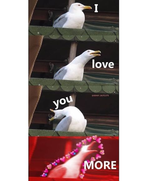 Love You Memes, Relationship Funny, Texts Messages, Bf Memes, Flirty Memes, Love You Meme, Couple Memes, Cute Love Memes, Crush Memes