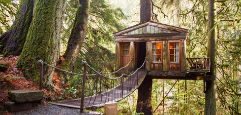 10 Washington State treehouse rentals perfect for a weekend getaway - Curbed Seattle Tree House Hotel, Treehouse Vacations, Communal Bath, Nature Houses, Treehouse Airbnb, Treehouse Point, Library Hotel, Copper House, Treehouse Cabins