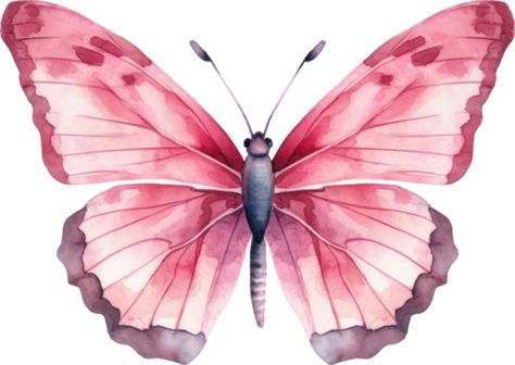 Butterfly Watercolor Painting, Watercolor Painting Easy, Painting Easy, Butterfly Watercolor, The Butterfly, Free Png, Watercolor Illustration, Watercolor Painting, Royalty