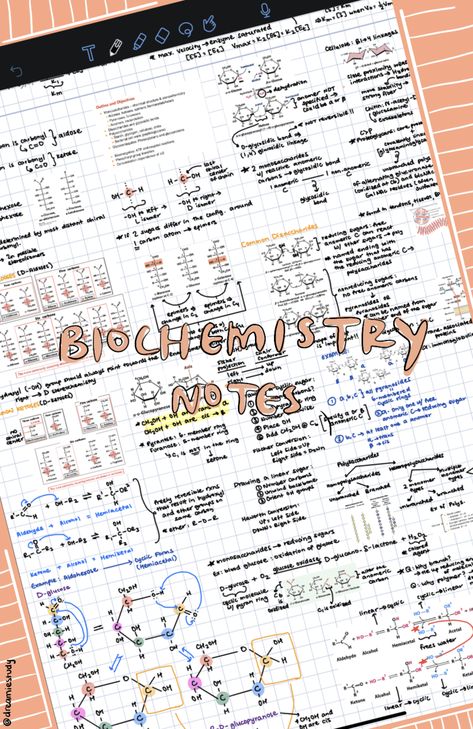 Digital Study Notes, Back To School Inspiration, Biochemistry Notes, Basic Background, Digital Notes, T Max, University Life, School Inspiration, Biochemistry