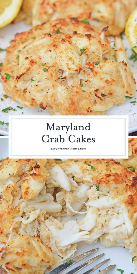 Maryland Crab Cakes No Filler, Crab Cake No Filler, Maryland Lump Crab Cakes Recipe, Crab Cakes No Filler, Old Bay Crab Cakes Recipes, Crab Cakes Maryland Style, Jumbo Lump Crab Cakes Recipes, Baltimore Crab Cakes Recipe, Crabcakes Recipe Best Maryland