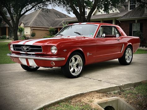 Red Ford Mustang 1967, Old Red Mustang, 1965 Ford Mustang Coupe, 1950s Mustang, 65 Ford Mustang, Old Mustang, Mustang 65, Mustang 1966, Ford Mustang 1967