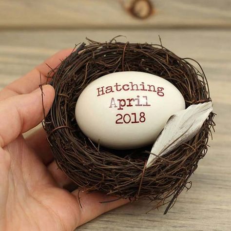 Due Date Easter Egg Idea Easter Pregnancy Announcement Ideas, Easter Baby Announcement, Easter Gender Reveal, Baby Photography Ideas, Easter Pregnancy Announcement, New Baby Pictures, Rainbow Baby Announcement, Pregnancy Announcement Ideas, Easter Baby Shower