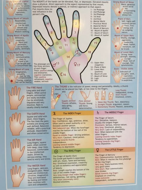 Palm Reading Lines, Palm Reading Charts, Hand Reading, Palmistry Reading, Psychic Development Learning, Palm Lines, Jyotish Astrology, Reading Charts, Astrology Tarot