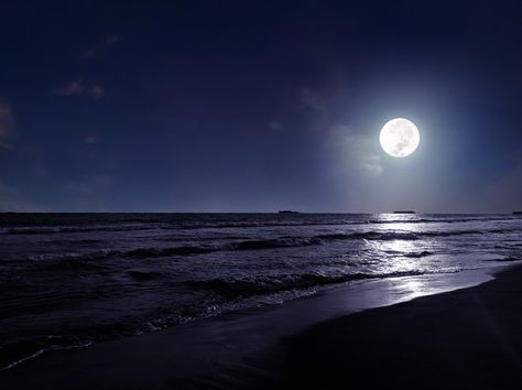 Beach night scene with moonlight Premium... | Premium Photo #Freepik #photo #background #tree #water #summer Night Sky Beach, Moonlight Beach, Night Ocean, Background Tree, Clear Night Sky, Dark Beach, Dark Ocean, Moon Beach, Ocean At Night