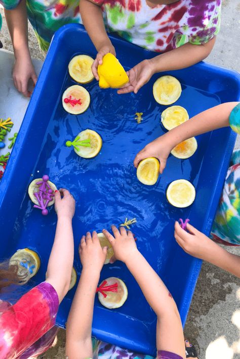 Water Play Preschool, Diy Sensory Board, Room Activities, Infant Room, Baby Play Activities, Make Lemonade, Easy Toddler, Daycare Activities, Sensory Table