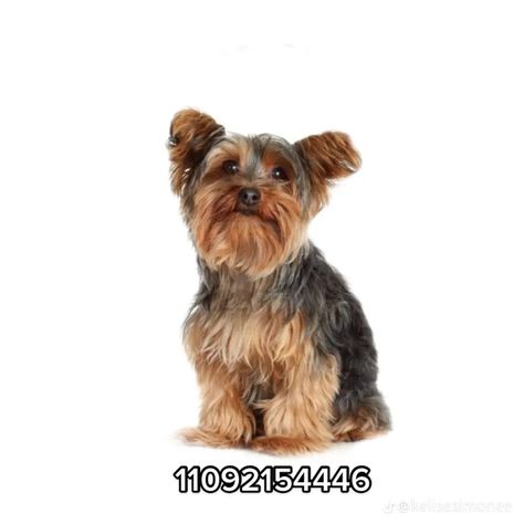 Dog Id Codes For Bloxburg, Bloxburg Puppy Decal Codes, Bloxburg Dog Decal Codes Transparent, Bloxburg Cat Decal Codes Realistic, Bloxburg Pet Codes, Animal Decals Bloxburg, Bloxburg Animal Decal Codes, Bloxburg Animals, Bloxburg Pets