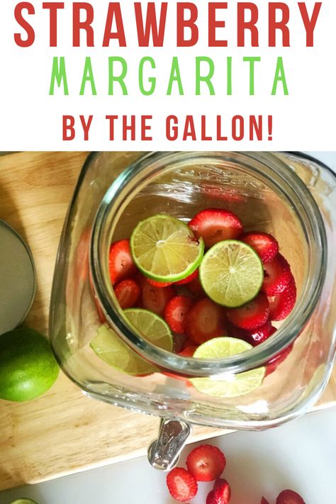 Recipe for a big batch of strawberry margarita - makes 1 gallon of margarita Cocktails By The Gallon, Margarita Batch Recipe, Gallon Margarita Recipe, Large Batch Margarita Recipe, Cookout Ideas, Strawberry Margarita Recipe, Chicory Recipe, Margarita Drink, Easy Margarita