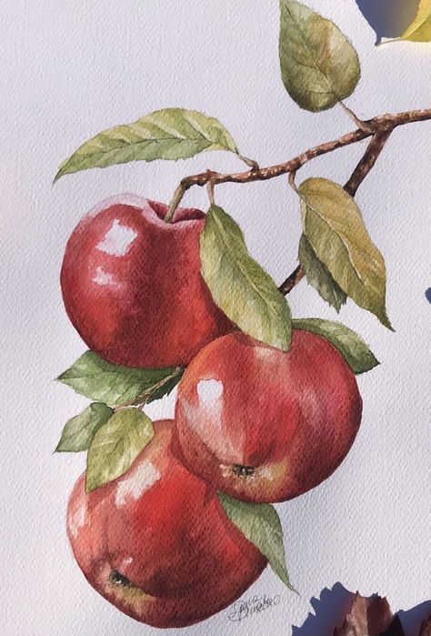 Drawings Of Fruits And Vegetables, Apple Painting Watercolour, Watercolour Food Painting, Watercolor Paintings Fruit, Watercolor Fruit Paintings, Fruits Watercolor Painting, Watercolor Art Fruit, Apple Watercolor Painting, Watercolour Apple