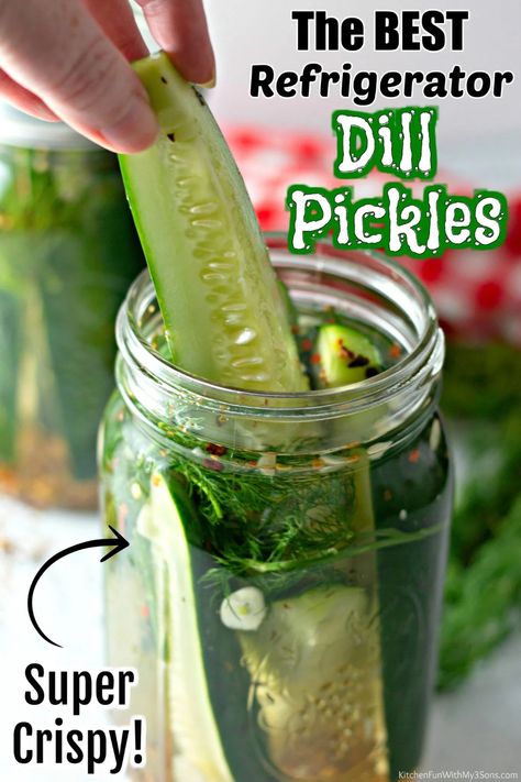 Pickles Homemade Easy, Homemade Refrigerator Pickles, Ohio Recipes, Refrigerator Pickles Dill, Homemade Pickles Dill, Pickle Recipes Homemade, Pickle Recipe, Refrigerator Pickles, Pickling Spice