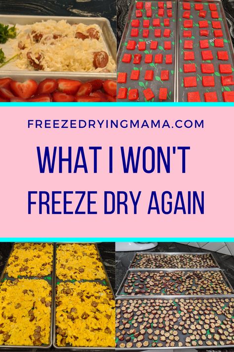 Recipes For Freeze Dried Foods, Things You Can Freeze Dry, Dry Freeze Food, Freeze Drying At Home, Foods To Freeze Dry, Best Things To Freeze Dry, Freeze Dry Butter, Best Foods To Freeze Dry, What To Freeze Dry