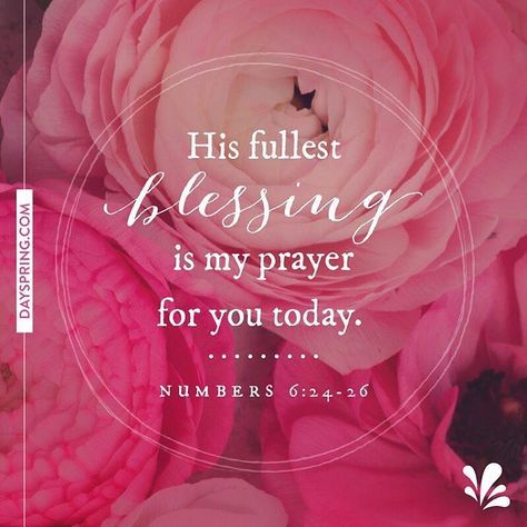 El Señor te bendiga y te guarde; el Señor haga que su rostro brille sobre ti y sea bondadoso contigo; el Señor levanta su semblante sobre ti y te da paz.” Números 6:24-26 ESV “The Lord bless you and keep you; the Lord make his face to shine upon you and be gracious to you; the Lord lift up his countenance upon you and give you peace.” ‭‭Numbers‬ ‭6:24-26‬ ‭ESV‬‬ Birthday Wishes For A Friend, Birthday Message For Friend, Christian Birthday, Birthday Quotes For Me, Messages For Friends, My Prayer, Birthday Blessings, Prayer For Today, Prayer For You