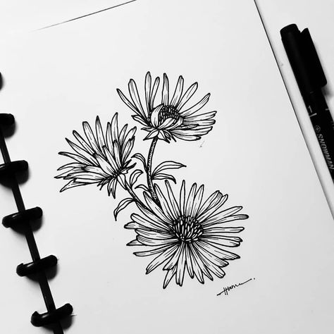 Astra Flower Tattoo, Aster Flower Tattoo Stencil, September Aster, Aster Flower Outline, Aster Line Drawing, Aster Tattoo Flower, September Birth Flower Drawing, Aster Drawing, Aster Flower Tattoo Design