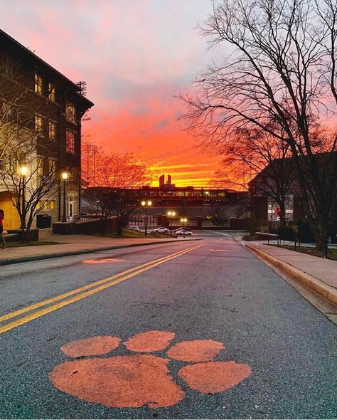 Clemson University Aesthetic, Clemson Aesthetic, Clemson Wallpaper, Clemson Campus, Clemson Tigers Wallpaper, Romanticize College, Football Game Fits, Tigers Wallpaper, Delta Dawn