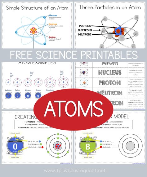 Atom Worksheet Middle School, Atoms And Elements Activities, Atoms And Molecules For Kids, Free Science Printables, Atoms And Molecules, Chemistry Revision, Science Printables, Homeschool Science Curriculum, Biology Classroom