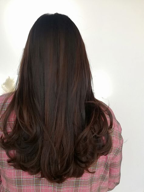 Long Dark Hair With Highlights Balayage, Mocha Brown Hair With Highlights, Dark Brown Hair With Babylights, Hair Stules, Brown Hair Trends, Beauty Recipes Hair, Rambut Brunette, Hair Color Asian, Black Hair Balayage