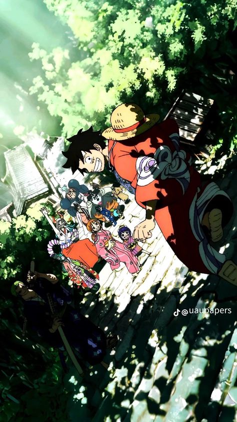 Anime Wallpapers Aesthetic, One Piece Theme, Streaming Anime, One Piece Photos, 1080p Anime Wallpaper, One Piece Wallpaper Iphone, Pfp Anime, Cool Anime Backgrounds, One Peice Anime