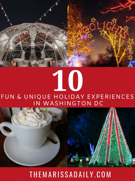 Looking for things to do for Christmas in Washington DC? There are many holiday activities to choose from in the District - whether it's seeing the National Christmas Tree, having cocktails in a plastic igloo, or indoor ice tubing. Get the best ideas for experiences from my curated list! Christmas In Washington Dc, Dc At Christmas, Christmas In Dc, Washington Dc Christmas, Things To Do For Christmas, Santa Bar, National Christmas Tree, Zoo Lights, Hot Cocktails