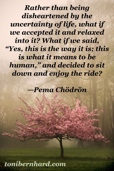 It can be hard to enjoy the ride when you're sick or in pain, but Pema suggests it as a possibility. I see it as embracing what we've been given. Pema Chodron Quotes, Pema Chödrön, Frases Yoga, Pema Chodron, Byron Katie, Be Here Now, A Quote, Great Quotes, Spiritual Quotes