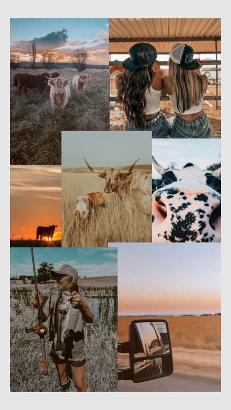 #myfirstshuffle Country Southern Aesthetic, Horse Collage, Country Core, Southern Aesthetic, Country Pictures, Country Photos, Cute Country Couples, Country Gal, Horse Riding Quotes