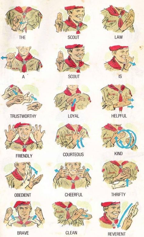 Asl Worksheets, Cub Scout Law, Scouts Activities, Boy Scout Activities, Cub Scouts Wolf, Scout Law, Cub Scouts Bear, Boy Scouts Eagle, Tiger Scouts