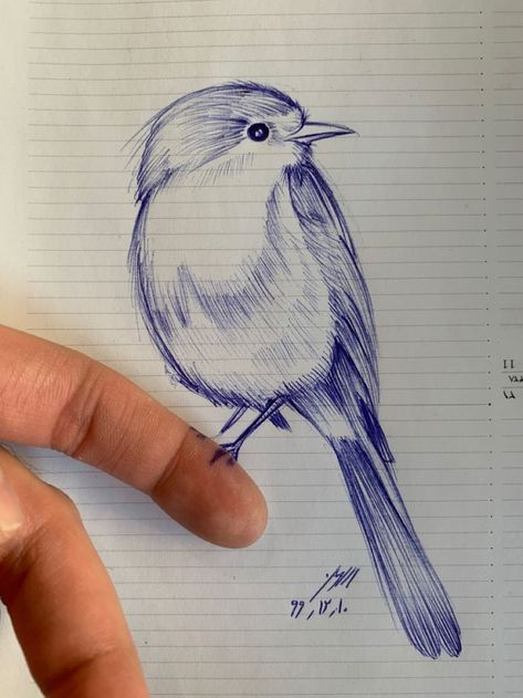 Pen Shading Drawings, Bird Pen Drawing, Ballpoint Pen Drawing Simple, Bird Drawing Ideas, Birds Drawing, Drawing Ideas Creative, Colored Pencil Art Projects, Ballpoint Pen Art, Pen Art Work