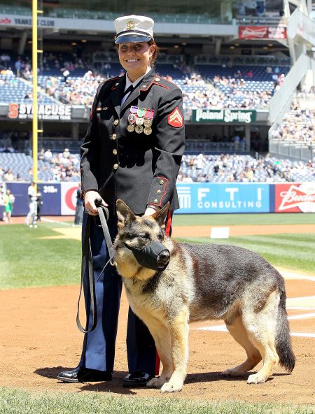 “All the stuff I was going through personally he was always right there, no judgement,” Leavey says about her canine partner Rex Megan Leavey, Military Service Dogs, Lode A Dio, Dog Soldiers, Dog Hero, Military Working Dogs, Boss Ladies, Military Dogs, Yankee Stadium