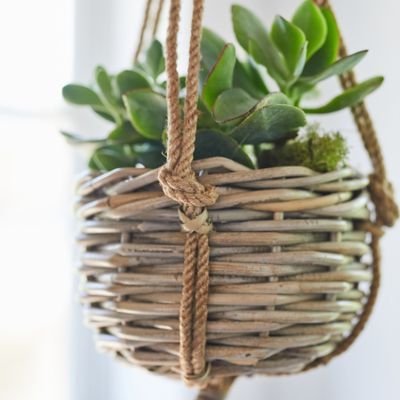 Rattan Planters, Hanging Rattan, Unique Bowl, Inside Garden, Backyard Gazebo, Indoor Outdoor Planter, Tufted Cushion, Garden Items, Indoor Gardening