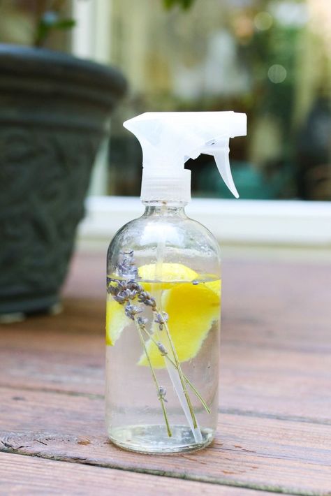 Keep Your Patio Bug Free with an Essential Oil Bug Spray | Hello Nest Diy Upholstery Cleaner, Essential Oil Bug Spray, Homemade Bug Spray, Diy Upholstery, Citronella Oil, Upholstery Diy, Bug Repellent, Bug Spray, Modern Upholstery